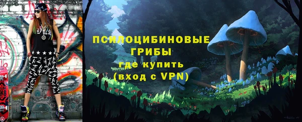 mix Козельск