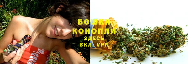 mix Козельск
