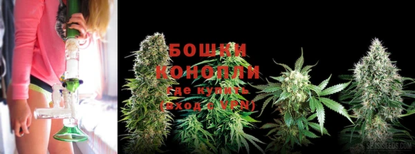 индика Яровое